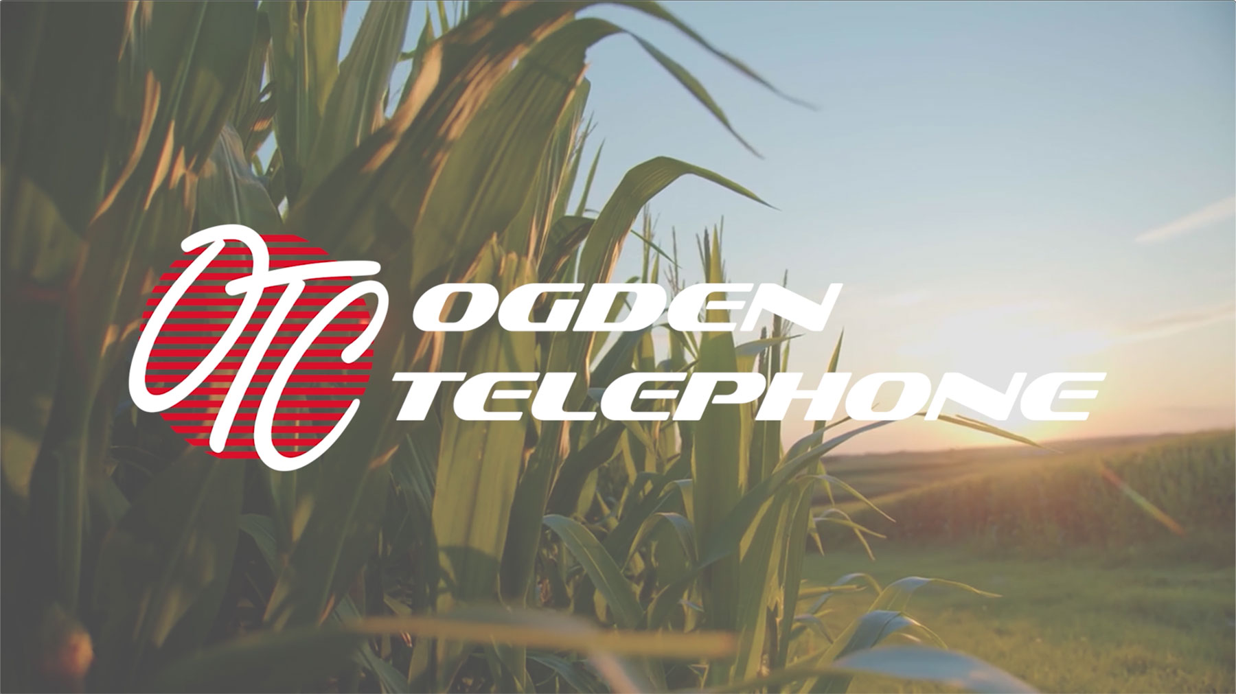 Ogden Telephone logo on corn field background